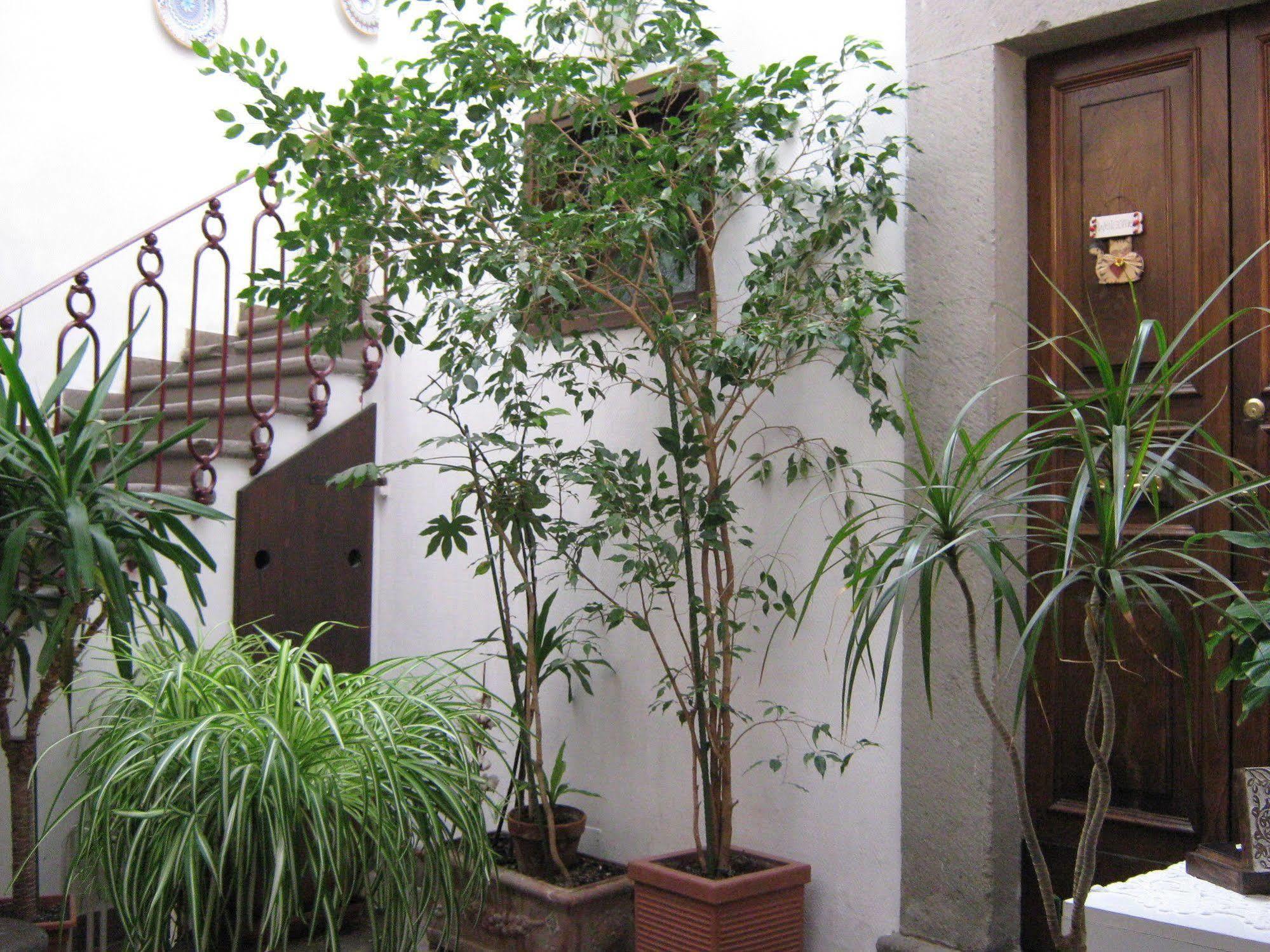 Bed and Breakfast Bb Santa Rosa Viterbo Zewnętrze zdjęcie